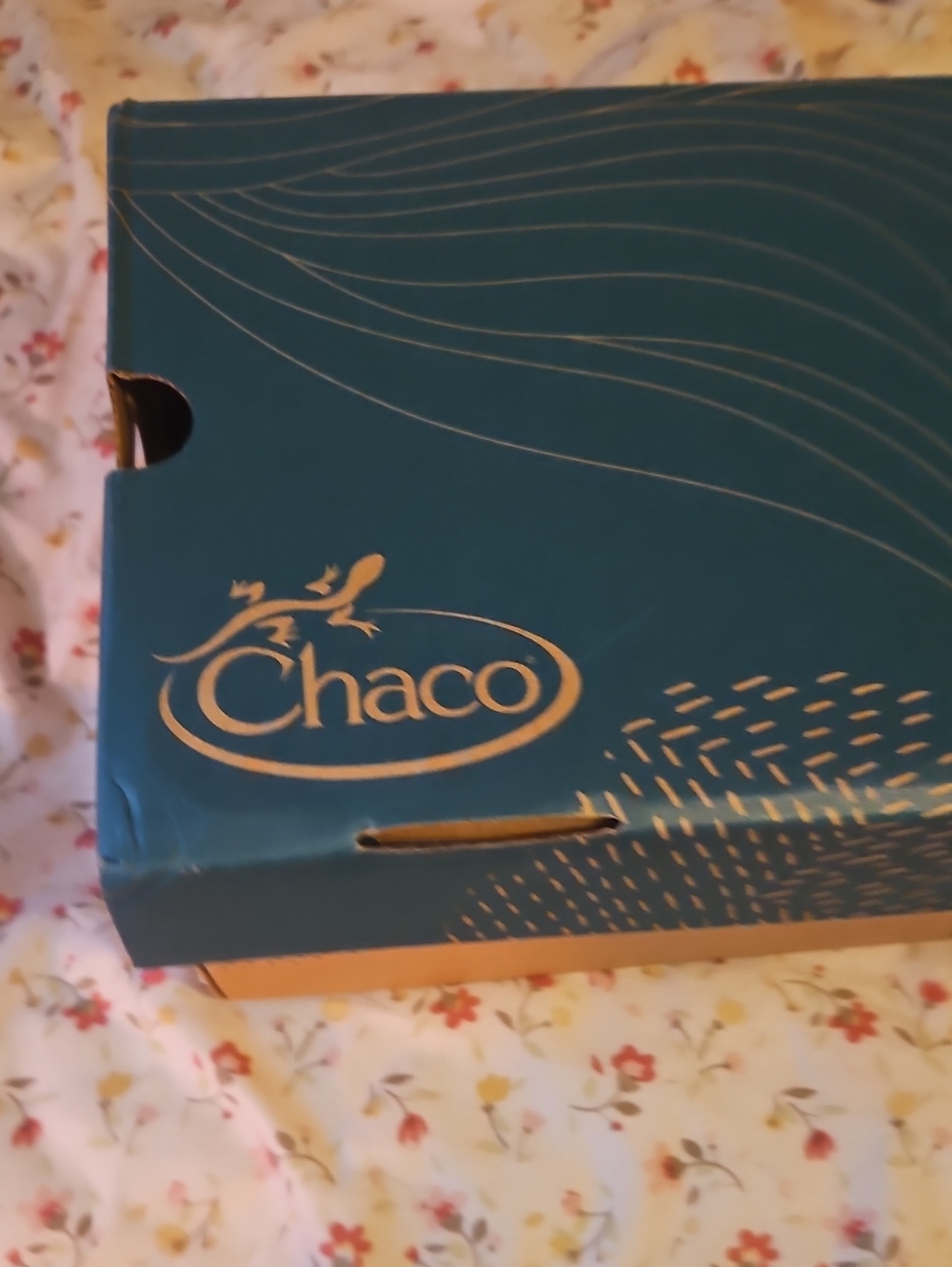 Chaco shoebox